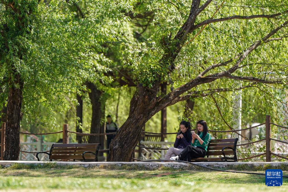 云南嵩明东村:巧做“闲置文章” 发展旅居新业态