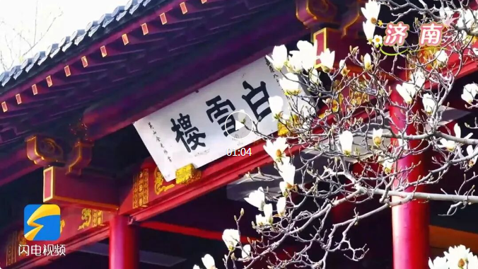 山东的春天 藏在这些花海里