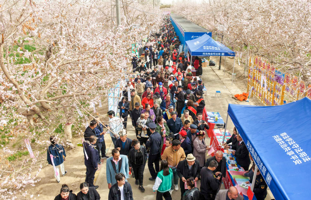 以花为媒促振兴 “杏杏”相印一家亲——克州阿克陶县第四届昆仑大峡谷杏花旅游季启幕