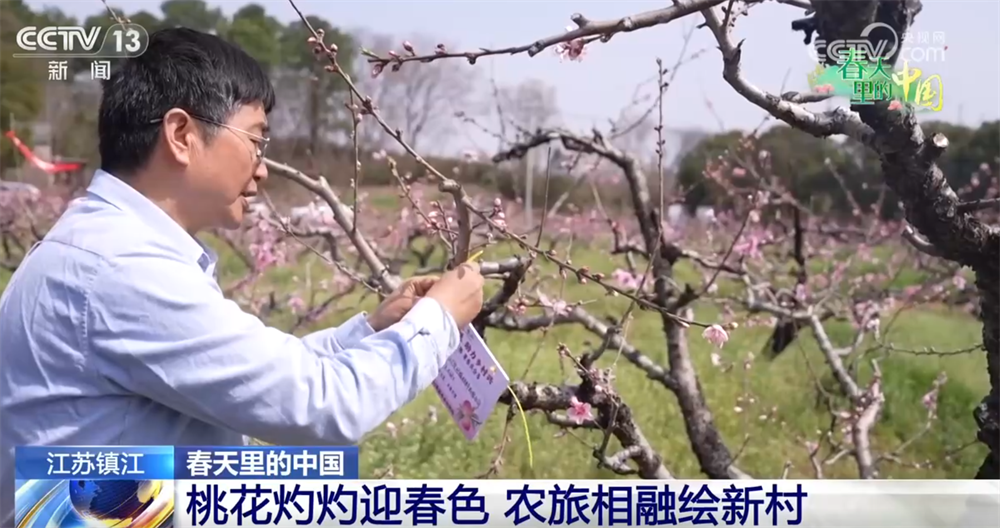 “春赏花、夏采果”农旅互促模式构建新生态 乡村振兴“新”图景正渐次展开