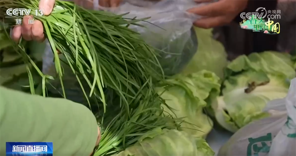 “春赏花、夏采果”农旅互促模式构建新生态 乡村振兴“新”图景正渐次展开