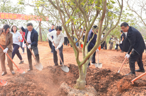 东盟青年在南宁共植绿色友谊林