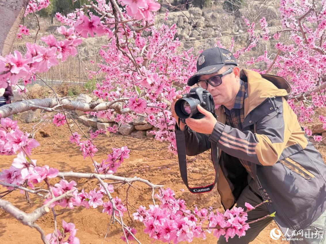 摄影爱好者在桃林中拍摄打卡。人民网 陈秋童摄