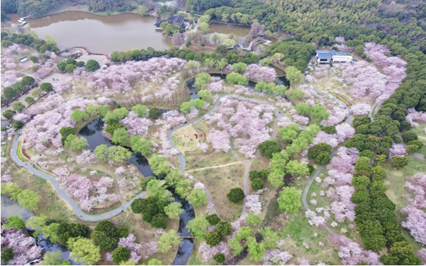 江苏张家港：交旅融合绘新景 香山环路串幸福