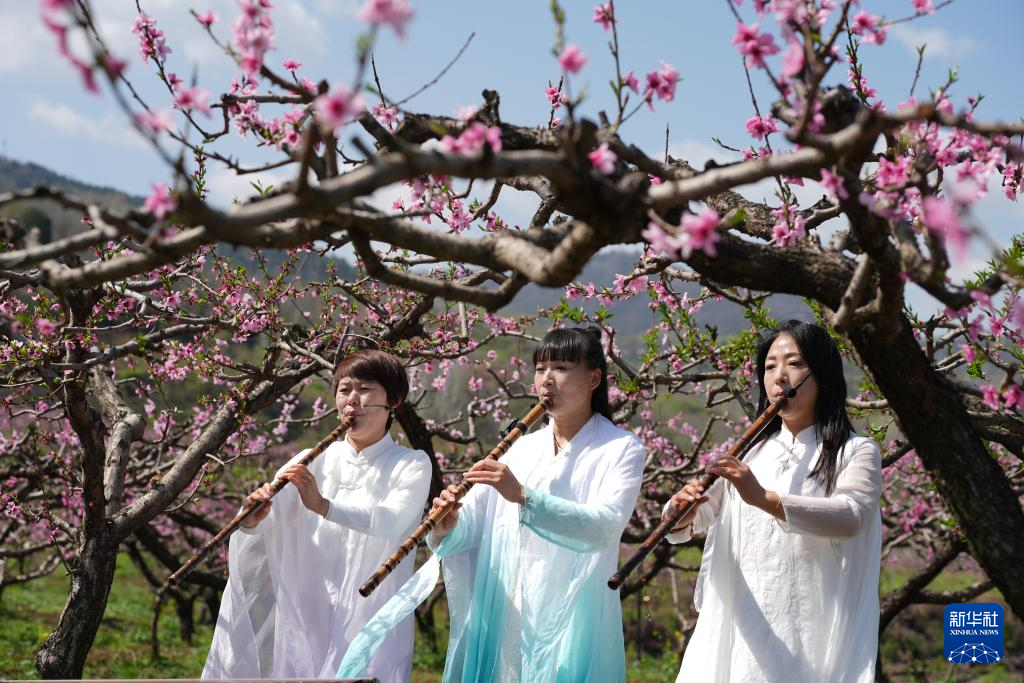 西安长安:踏春赏花正当时