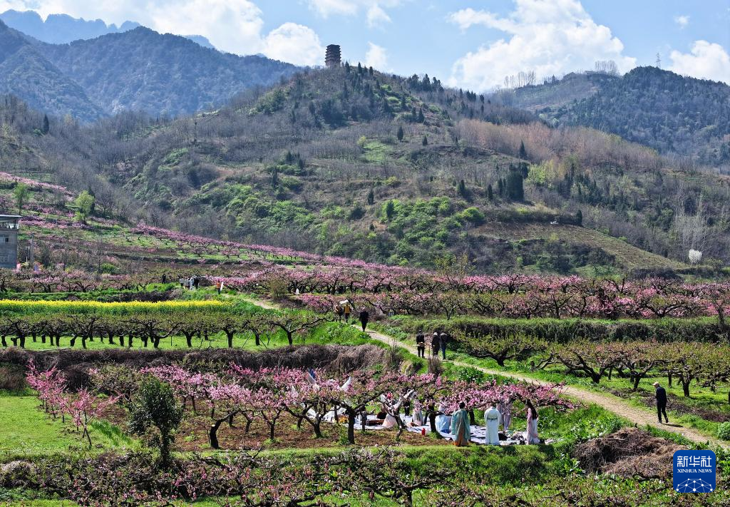 西安长安:踏春赏花正当时