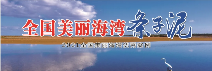 【多彩湿地】春染条子泥，花间麋鹿行