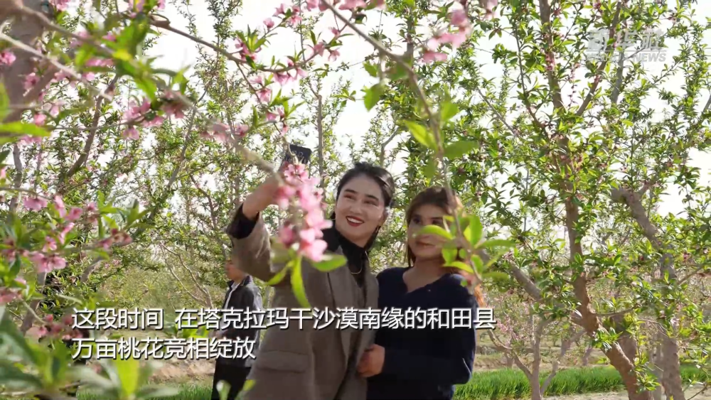 新疆以花为媒 绘旅游新图景
