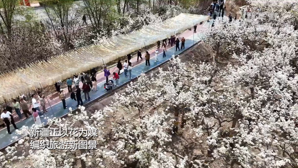 新疆以花为媒 绘旅游新图景