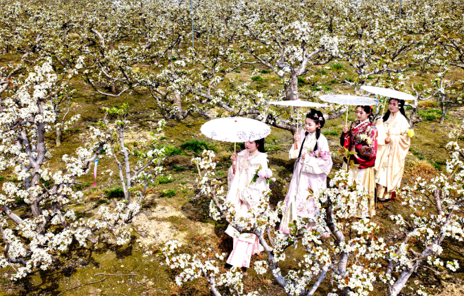 江苏如东:千亩梨园解锁春游新玩法