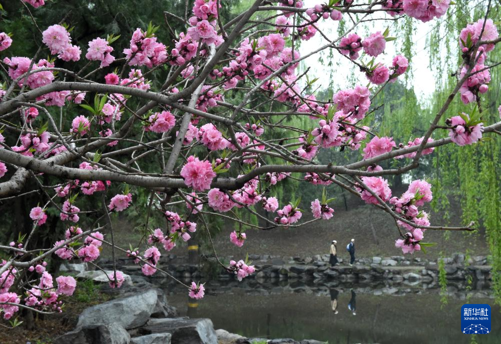 圆明园第三十一届踏青节开幕