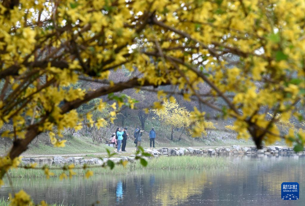 圆明园第三十一届踏青节开幕
