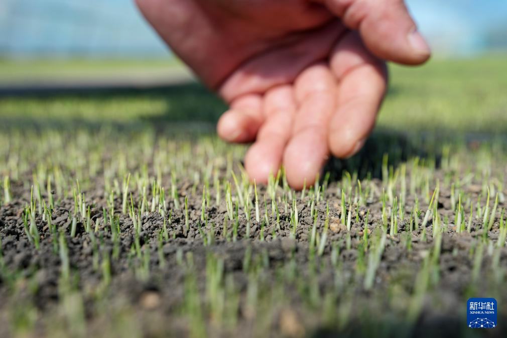 黑龙江进入春耕季