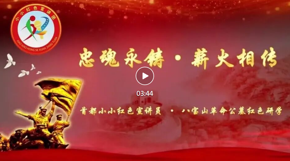 追寻·2026·清明祭英烈｜忠魂永铸 薪火相传，纪念陈宝仓将军诞辰126周年——清明祭扫活动圆满举行