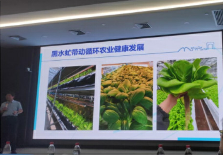 小明听讲座|小昆虫藏大学问!这场科普大讲堂带上海少年解锁昆虫奥秘 小明听讲座|小昆虫藏大学问!这场科普大讲堂带上海少年解锁昆虫奥秘