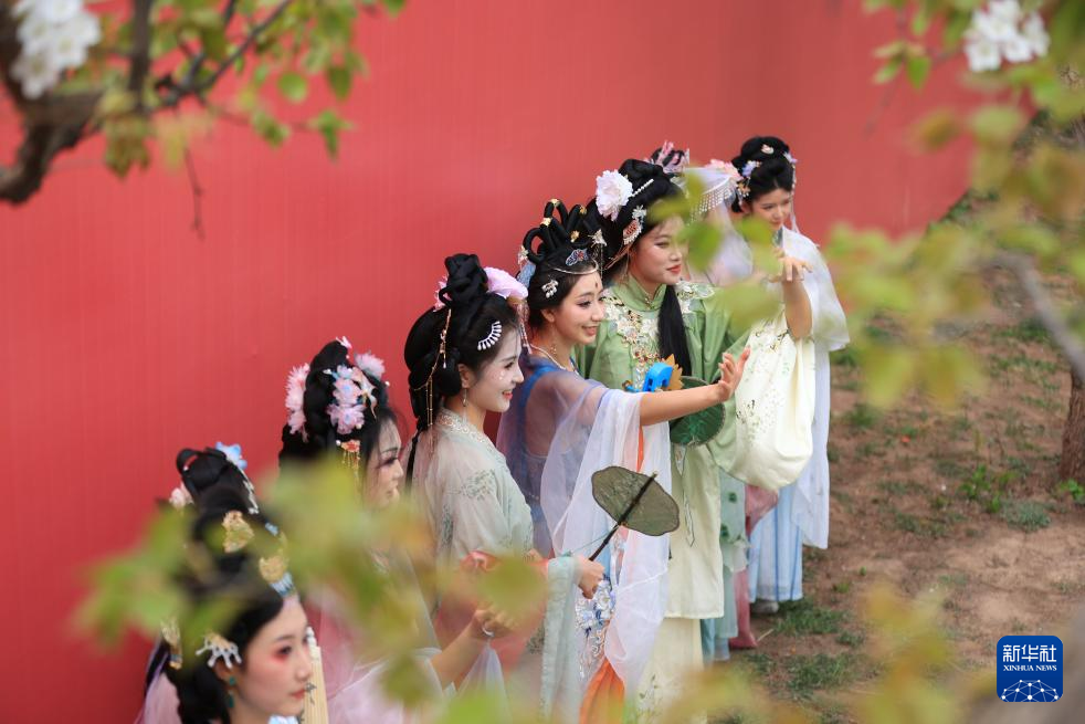 甘肃皋兰:梨花漫什川 花海醉游人