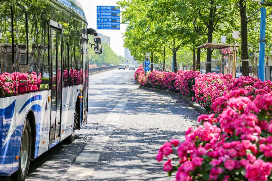 “十五五”开局，南桥凭什么惊艳南上海