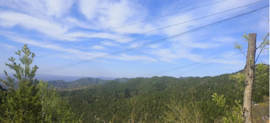 城乡蝶变 大美大宁