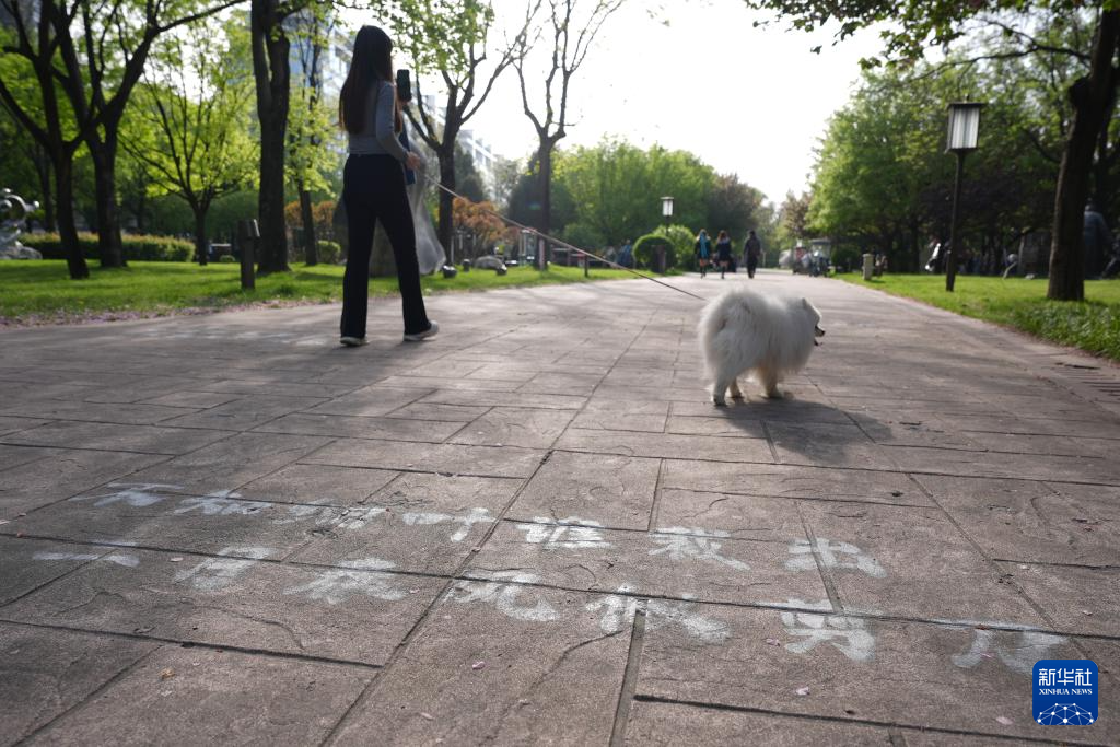 古城西安打造“唐诗之都”