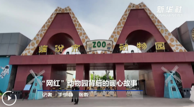 “网红”动物园背后的暖心故事