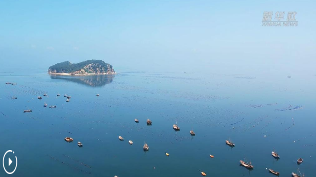 大连：深耕海洋养殖 筑牢“蓝色粮仓”