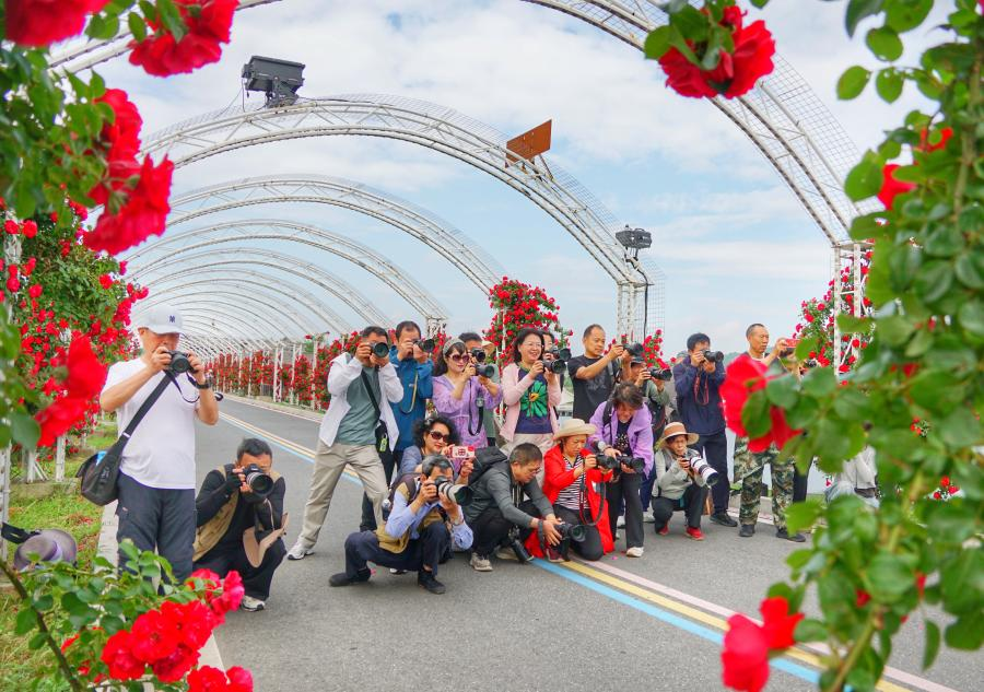 以镜揽风光 2026醉美巢湖赏花季摄影大赛开启