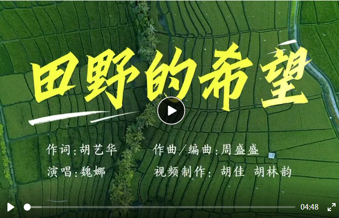 原创歌曲丨《田野的希望》