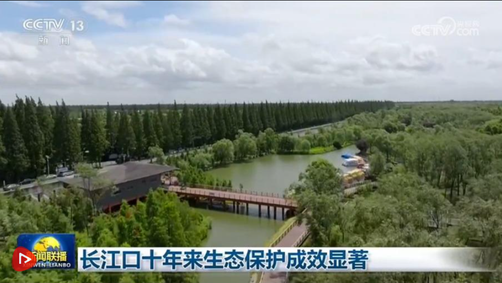 长江口十年来生态保护成效显著