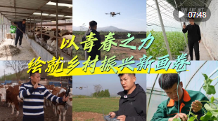 微视频｜以青春之力绘就乡村振兴新画卷