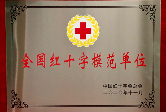 升本二十年|述年华 ·团学风采:绽放青春活力 彰显学子担当
