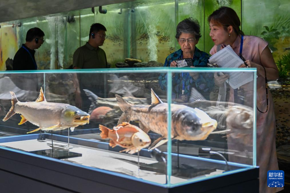 多国代表参访湖北:从发展图景中读懂幸福生活