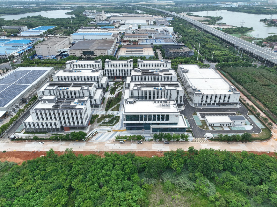 武汉经开区首家千亿市值企业“高光”的背后,是26年的深耕与守护