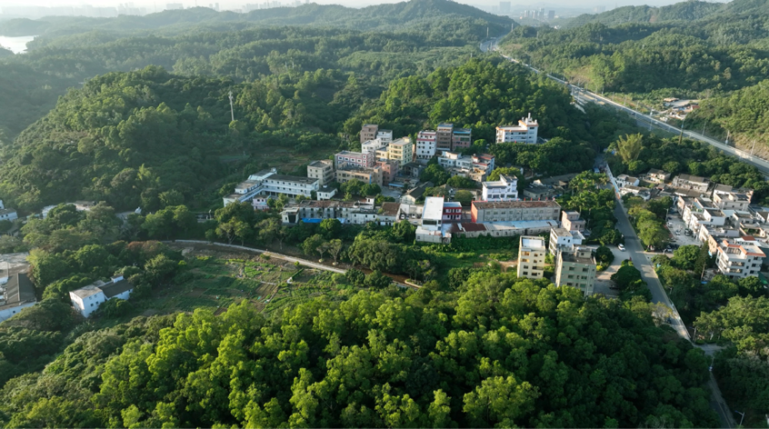 多点发力提质效!深圳坪山“百千万工程”添新景