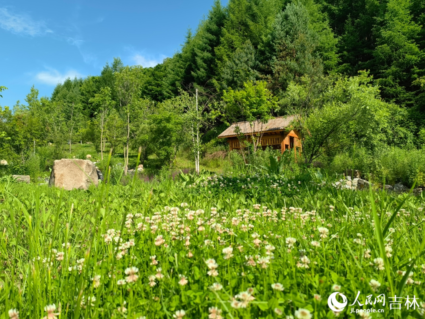 上湖上民宿景观前山花烂漫。人民网记者 马俊华摄