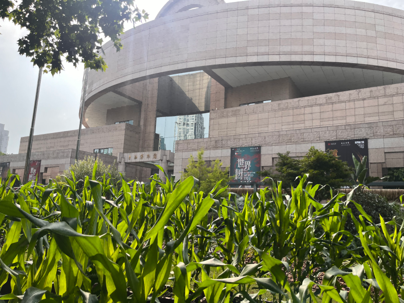 小明看展|“世界树之巅：美洲古代文明大展”7月9日启幕