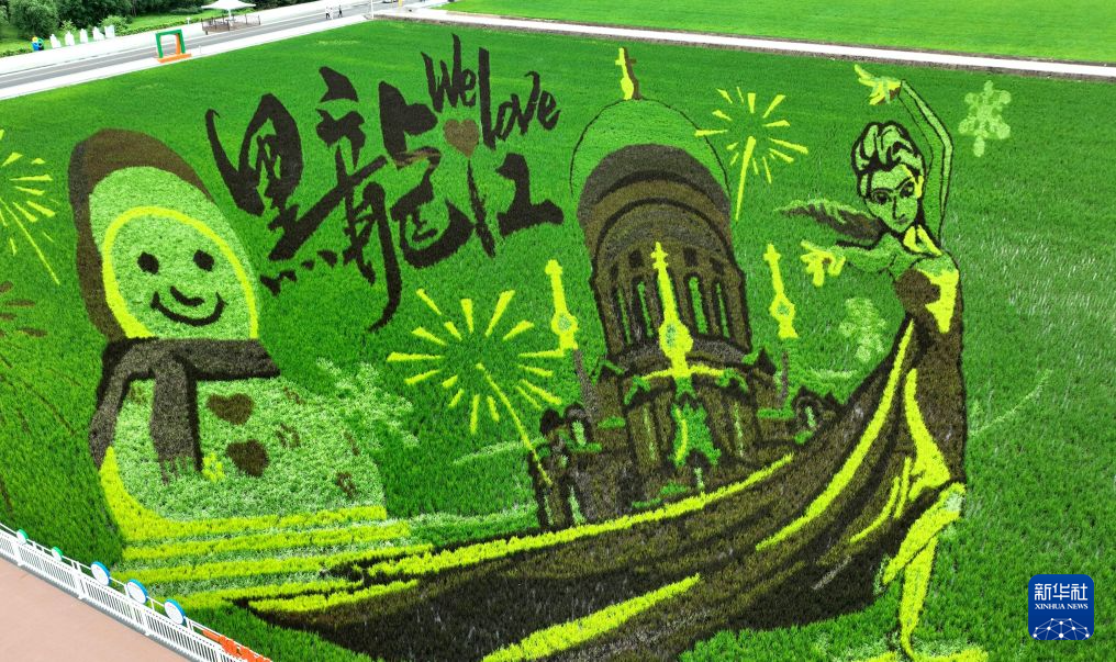 “北大仓”稻田画:黑土地上绘“丰”景