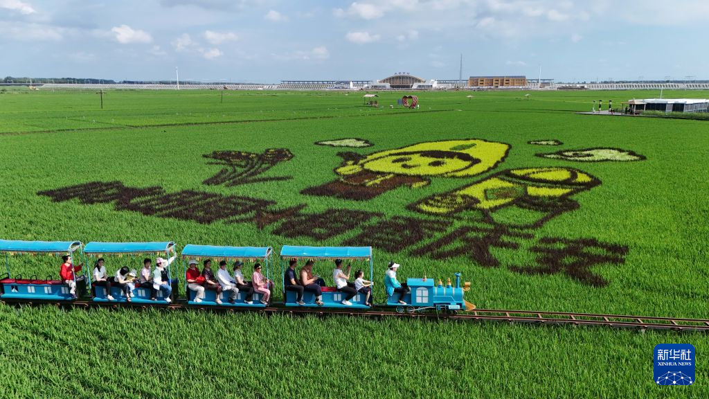 “北大仓”稻田画:黑土地上绘“丰”景