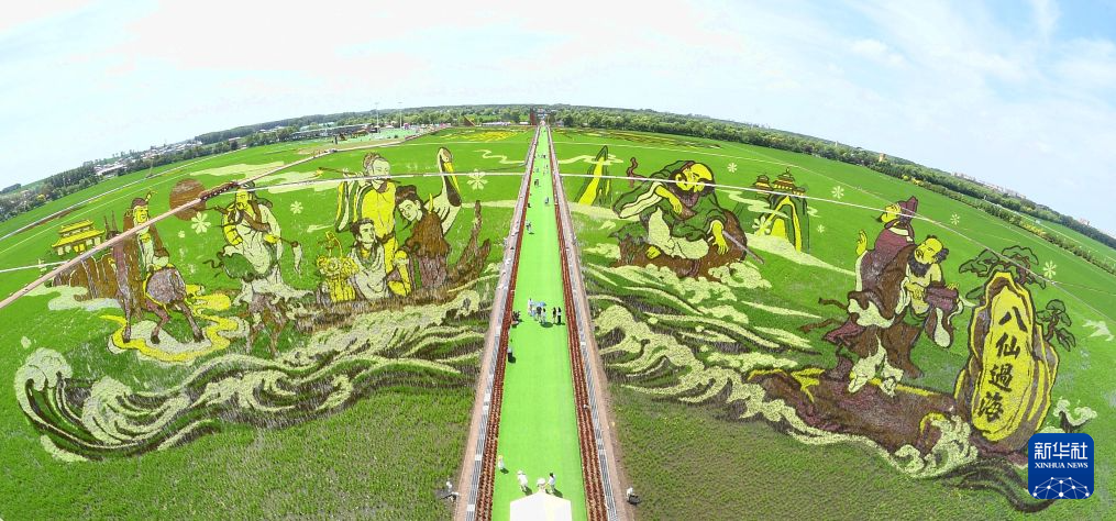 “北大仓”稻田画:黑土地上绘“丰”景