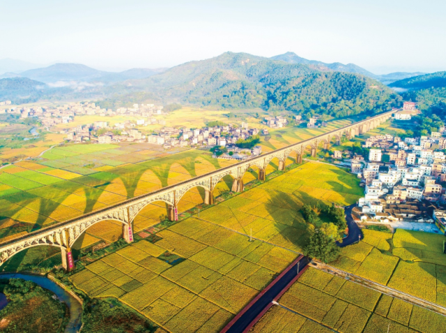 问渠长岗坡:流水滔滔近半个世纪,看见怎样的政绩观? 问渠长岗坡:流水滔滔近半个世纪,看见怎样的政绩观?