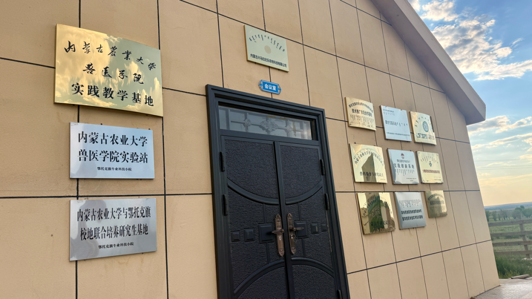 基层出题、高校解题!鄂托克旗校地协同赋能现代畜牧业