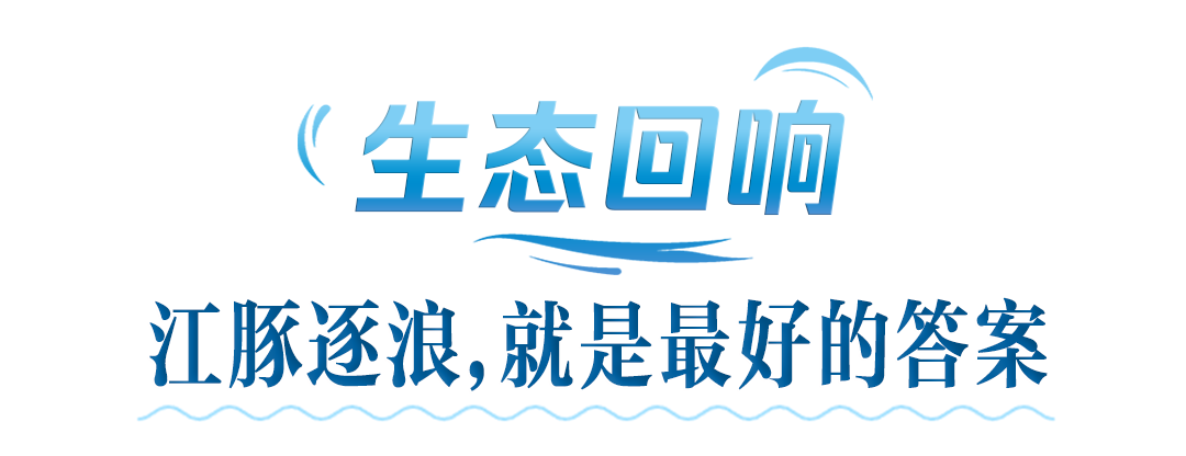 长江江豚向全球发出盛夏邀请,来武汉共赴长江之约 长江江豚向全球发出盛夏邀请,来武汉共赴长江之约