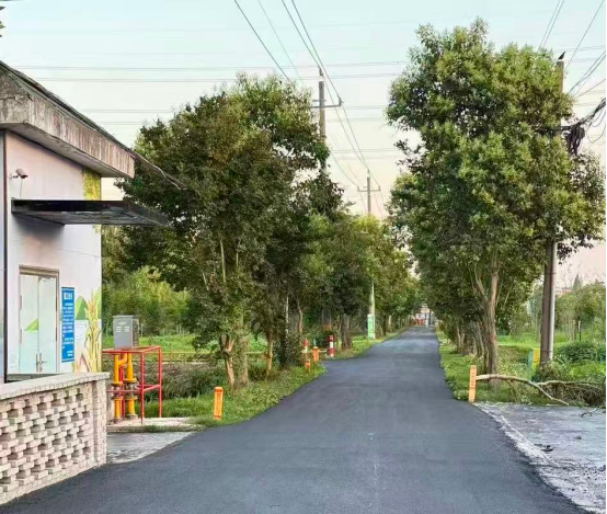 先停宠物再游玩!扬州瓜洲村推动人宠友好“旺”起来 先停宠物再游玩!扬州瓜洲村推动人宠友好“旺”起来