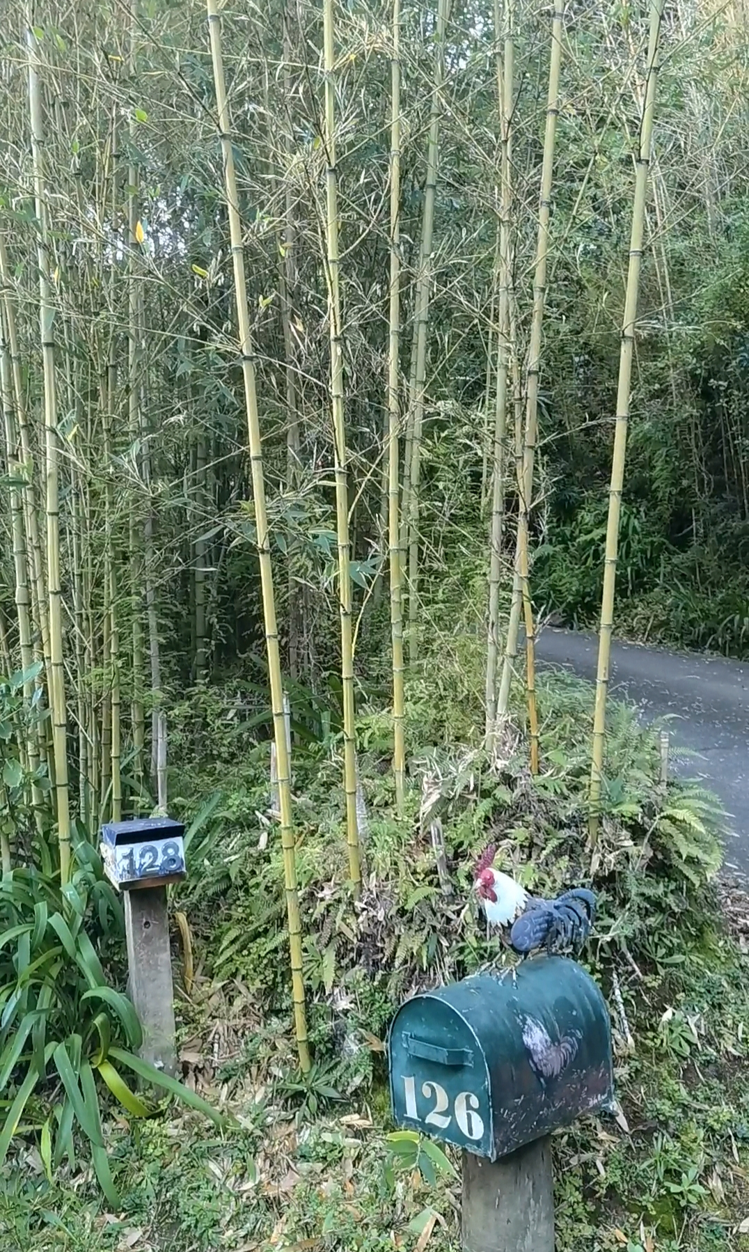 大海停止了咆哮——激流岛上的凭吊与思考