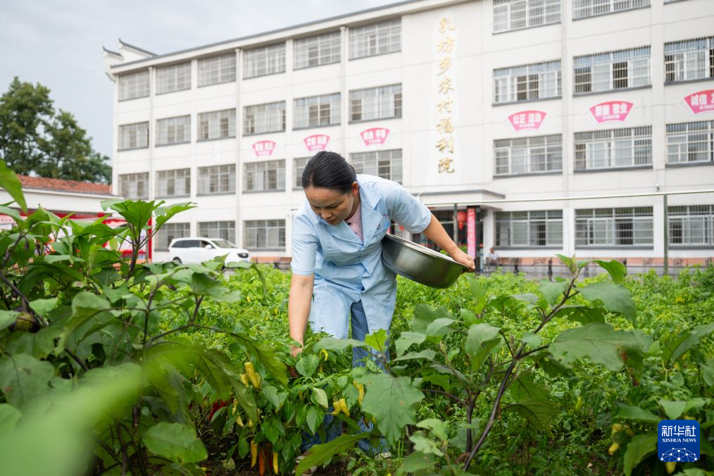 基层一线党旗红丨大别山下的养老守护者