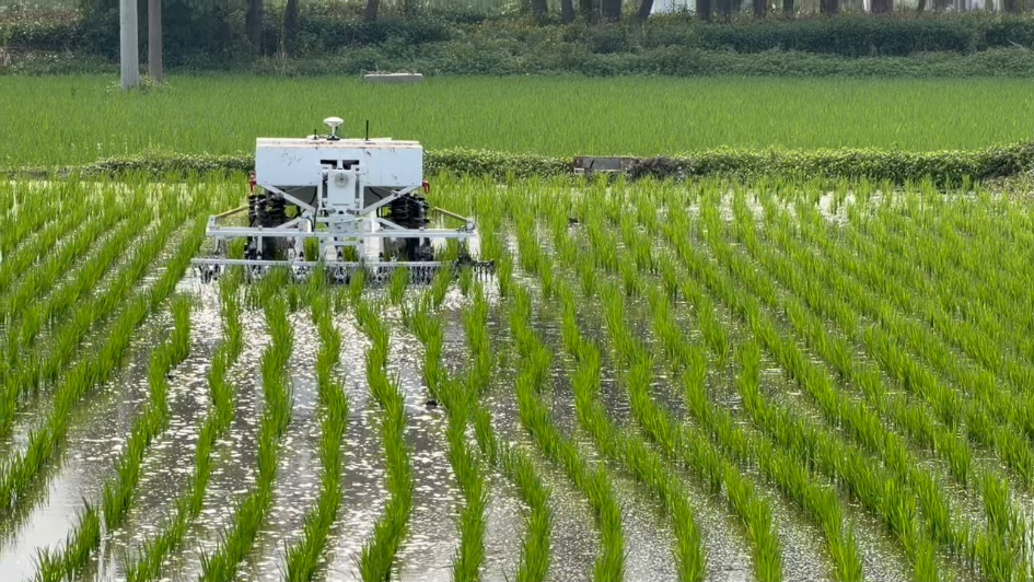 破茧·破局·破壁——一座年轻街道的新生密码