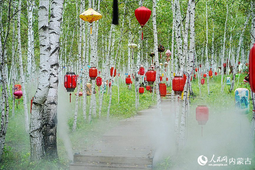 内蒙古呼伦贝尔:林海深处有清境 凤凰山夏景如画 凤凰山景区的白桦树林。人民网记者 张聿修摄