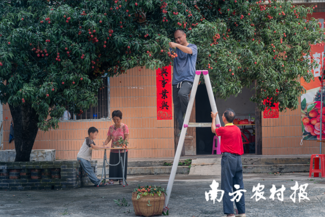 把农业品牌立在岭南大地上丨广东农产品品牌建设十论