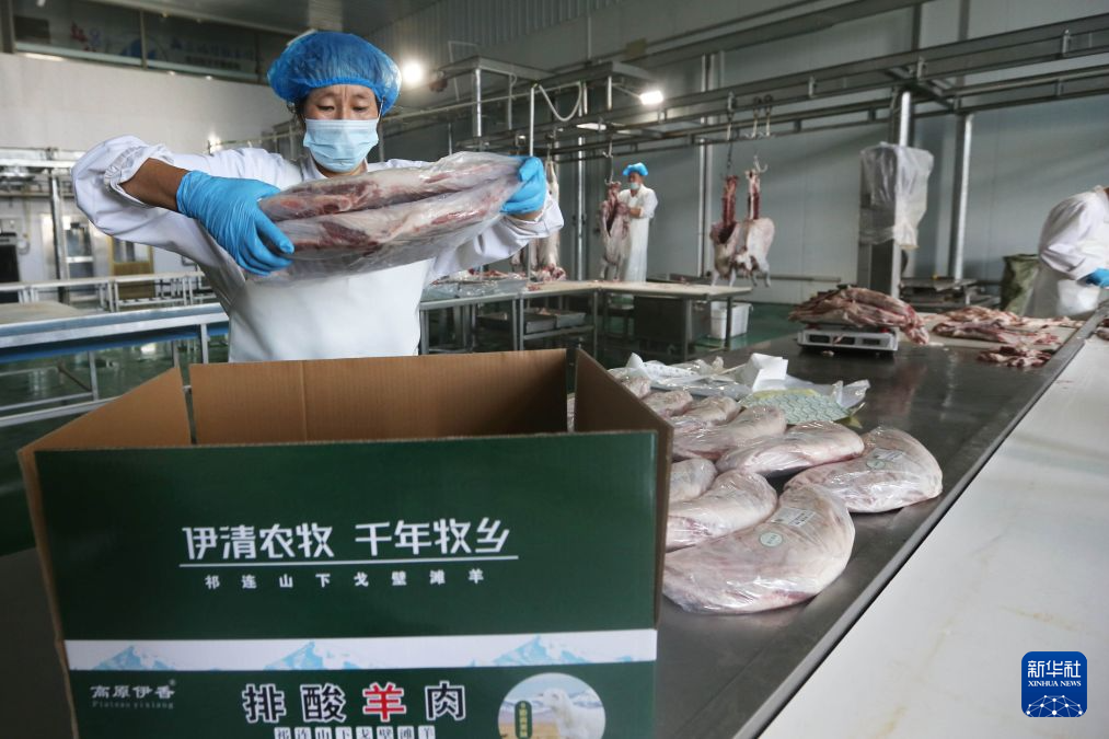 甘肃定西:全产业链发展牛羊养殖业