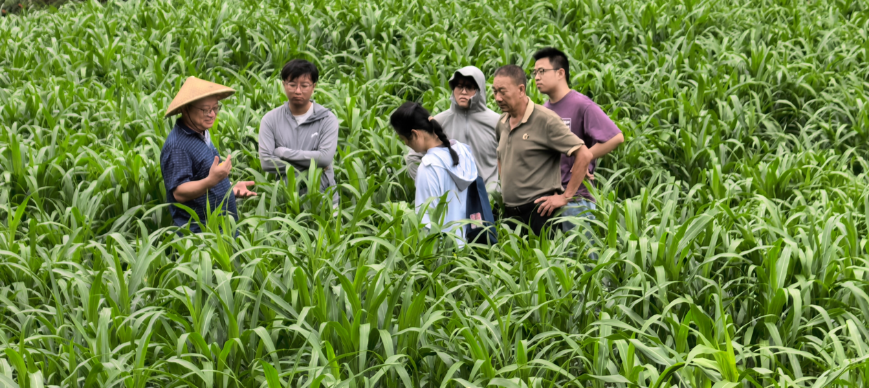 福建省浦城县官路乡：一粒薏米兴产业 多元联动活山乡