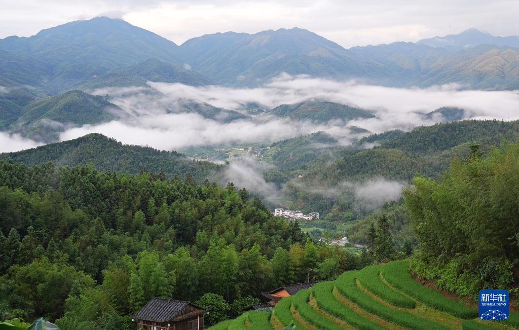 图片故事丨走出大山 深山四胞胎的开学季